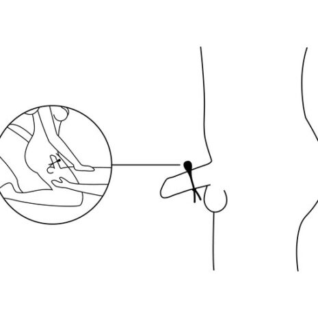 221629x4jpg 221629x4jpg