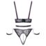 2251310x4jpg