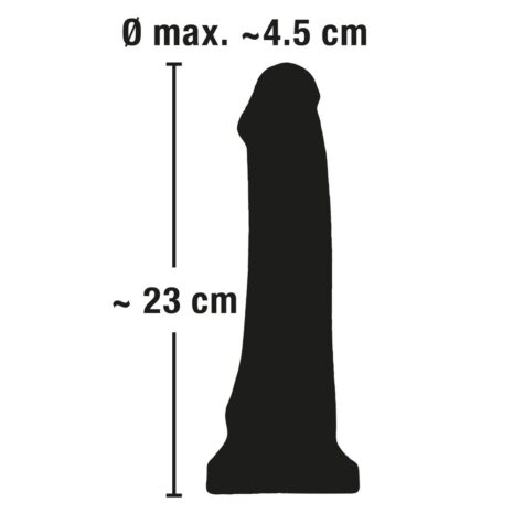 523135x3jpg 523135x3jpg