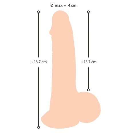 554812x4jpg 554812x4jpg
