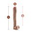 Adult sex toy: a dildo standing upright with measurement markers showing 13 inches long and 2.5 inches diameter, 11 inches insertable.