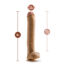Beige dildo standing upright with a suction base, showing measurements: 14 in total height, 11.5 in insertable length, and 2.5 in diameter.