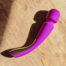 LELO7789x2jpg