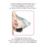 PMP019ROSx2jpg