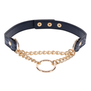 SportSheets Cougar Day Collar